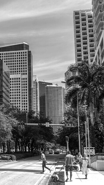 Leading the Way in Commercial Real Estate Ft. Lauderdale | NAI Miami Fort Lauderdale