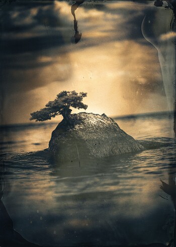 Hermit