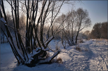 Зимняя прогулка по Яузе