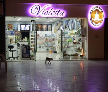 Violetta - ночная хозяйка...