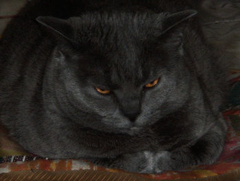 Взгляд