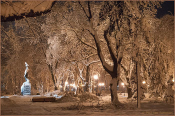 в Киеве зима