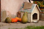 Лариса Богдан : Autumn. Ukraine. 2 