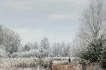 Михаил Праслов : Ноябрь 2014 