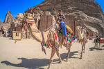 Evgenya Kachlon : A ship of the desert 
