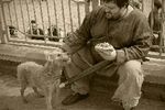 Igor Parshin : Про голод и собак 