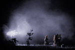 Igor Parshin : Strangers in the night 