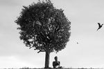 Виктор Фёдоров :  