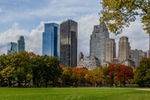 Vladimir Berezovsky : Autumn around Columbus circle. 