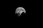 Mikhail & Ella Kusayev : Full Moon over forest 