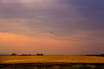 Mikhail & Ella Kusayev : Beautiful Montana Landscape 