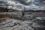 Mikhail & Ella Kusayev : Mammoth Hot Springs. Yellowstone National Park 