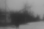 Veronika Fadyeyeva :  