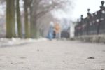 Анастасия Buzeeva : В плену иллюзий 
