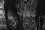 Veronika Fadyeyeva : Untitled 
