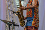 Elena * : ALFA JAZZ FEST 