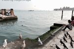  : Gli scacchi veneziani... Шахматы по-венециански 