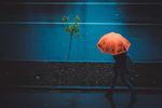   : rainy day 