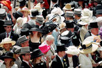 Александр Перепонов : Ascot 