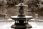Alex Basansky : Bethesda Fountain, Central Park, New York City 