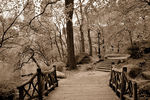 Alex Basansky : Central Park West and San Remo Building, New York City 