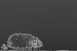 Elena Alexandrova : Night 