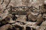 Alex Basansky : Central Park North, Wooden Bridge 