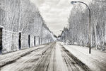 Zinovi Seniak : road 