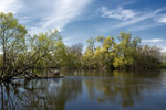 Zinovi Seniak : river 