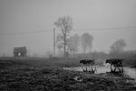 Lyubov Furs : Осеннее 