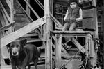 Igor Andreev : Untitled 