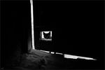 Igor Andreev : Untitled 