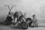 Igor Andreev : Untitled 