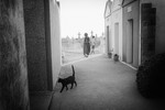 Евгений Лебедев : Своей дорогой 