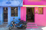 Larissa Beniaminova-Nazarova : Incredible India 