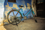 Larissa Beniaminova-Nazarova : Incredible India 