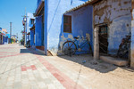 Larissa Beniaminova-Nazarova : Incredible India 