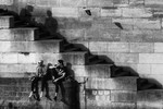 Наталия Андрианова : Followers 