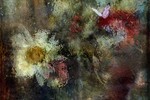Елена Успенская : На исходе лета 