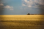 Анастасия Панченко : Вот и август настал 