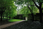 Igor Umansky : Jardin des ch?teau Chenonceau 