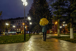 Светлана Соловьева : Гуляя по скверу 
