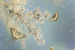 Ирина Костикова : С Новым 2018 годом! 