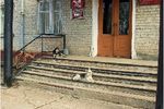 Сергей Бушмакин : На ступеньках власти. 