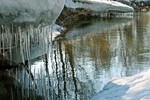Николай Чебанов : Органная мелодия весны 
