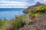 Ирина Терентьева : Крымская весна 