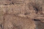 Татьяна Ефашкина : Хороший денёк. 