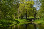 Люция Буторина : Весна в Пушкино 
