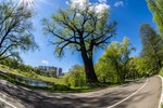 KATYA SHUYSKAYA : Сочная весна 