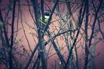 Татьяна Тютюнова : милое создание 
